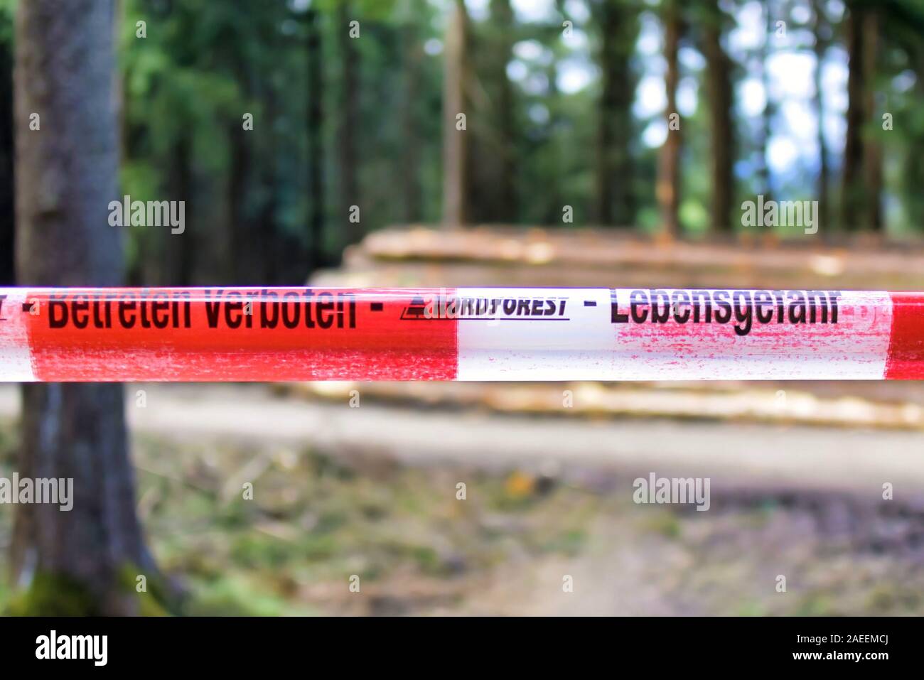 Red and white striped warning barrier tape in forest saying `Do not enter` and `Danger to life` in German Stock Photo